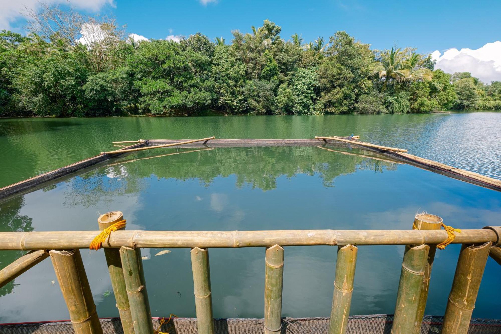 Almost Heaven Lake Resort By Cocotel Cavinti エクステリア 写真